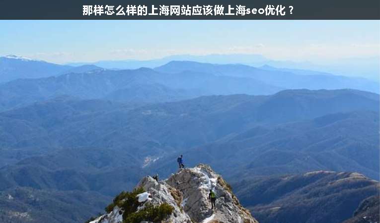 那樣怎么樣的上海網(wǎng)站應(yīng)該做上海seo優(yōu)化？