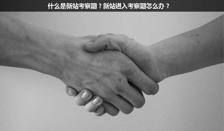什么是新站考察期？新站進(jìn)入考察期怎么辦？
