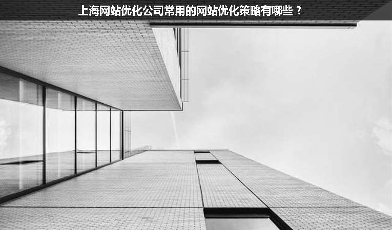 上海網(wǎng)站優(yōu)化公司常用的網(wǎng)站優(yōu)化策略有哪些？