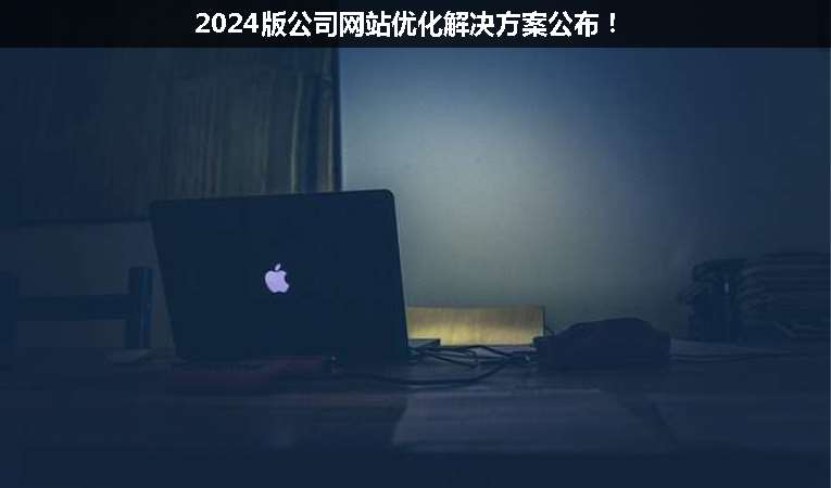 2024版公司網(wǎng)站優(yōu)化解決方案公布！
