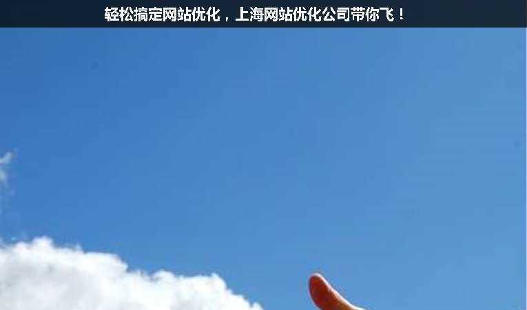輕松搞定網站優(yōu)化，上海網站優(yōu)化公司帶你飛！