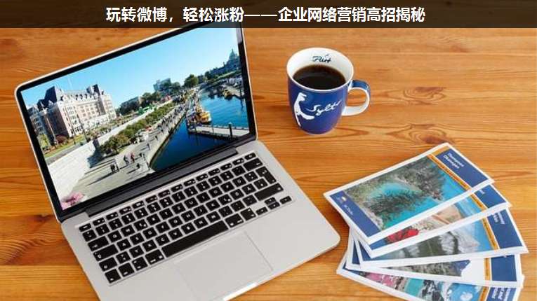 玩轉微博,輕松漲粉——企業(yè)網絡營銷高招揭秘