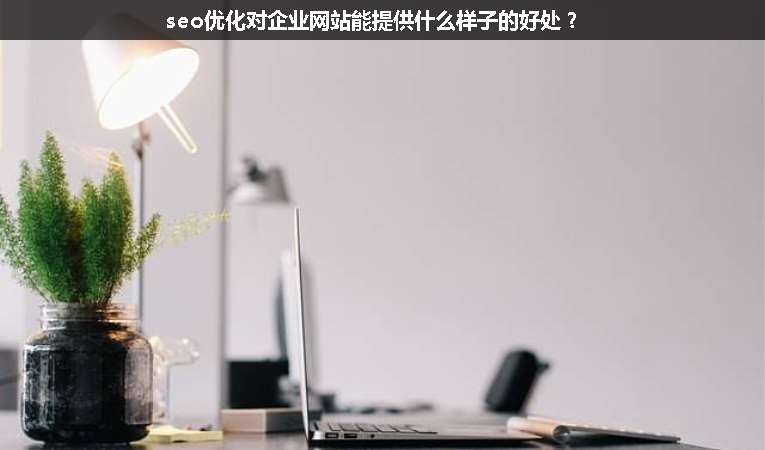 seo優(yōu)化對(duì)企業(yè)網(wǎng)站能提供什么樣子的好處？