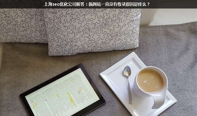 上海seo優(yōu)化公司解答：新網(wǎng)站一直沒有收錄原因是什么？